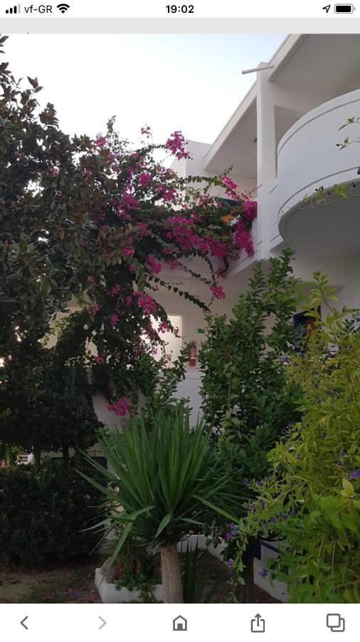 Danae Hotel Faliraki Exteriör bild